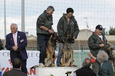Remise des Prix 115.JPG - CHIENPLUS.COM